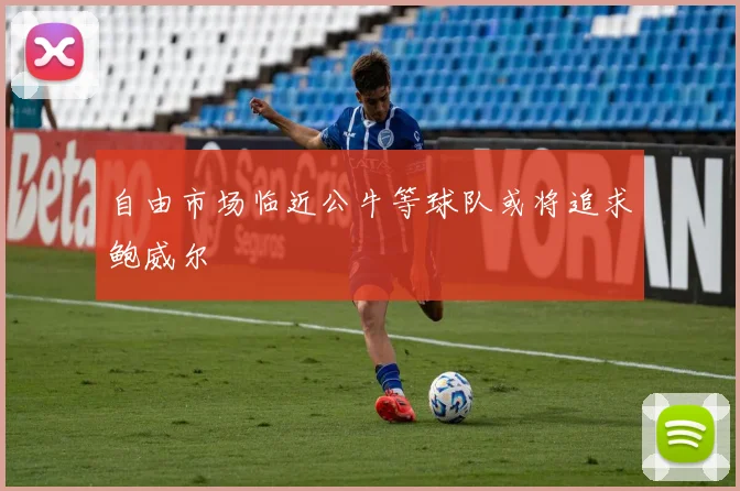自由市场临近公牛等球队或将追求鲍威尔