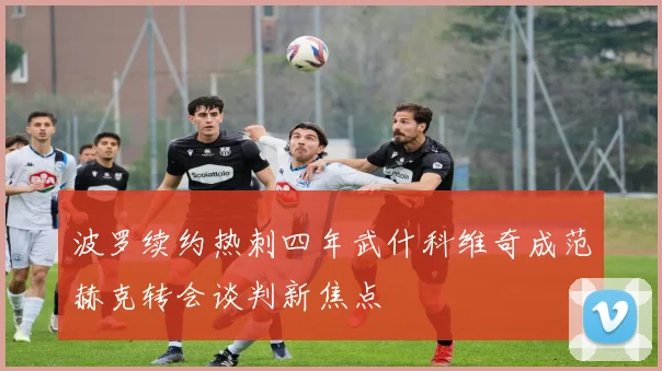 波罗续约热刺四年武什科维奇成范赫克转会谈判新焦点